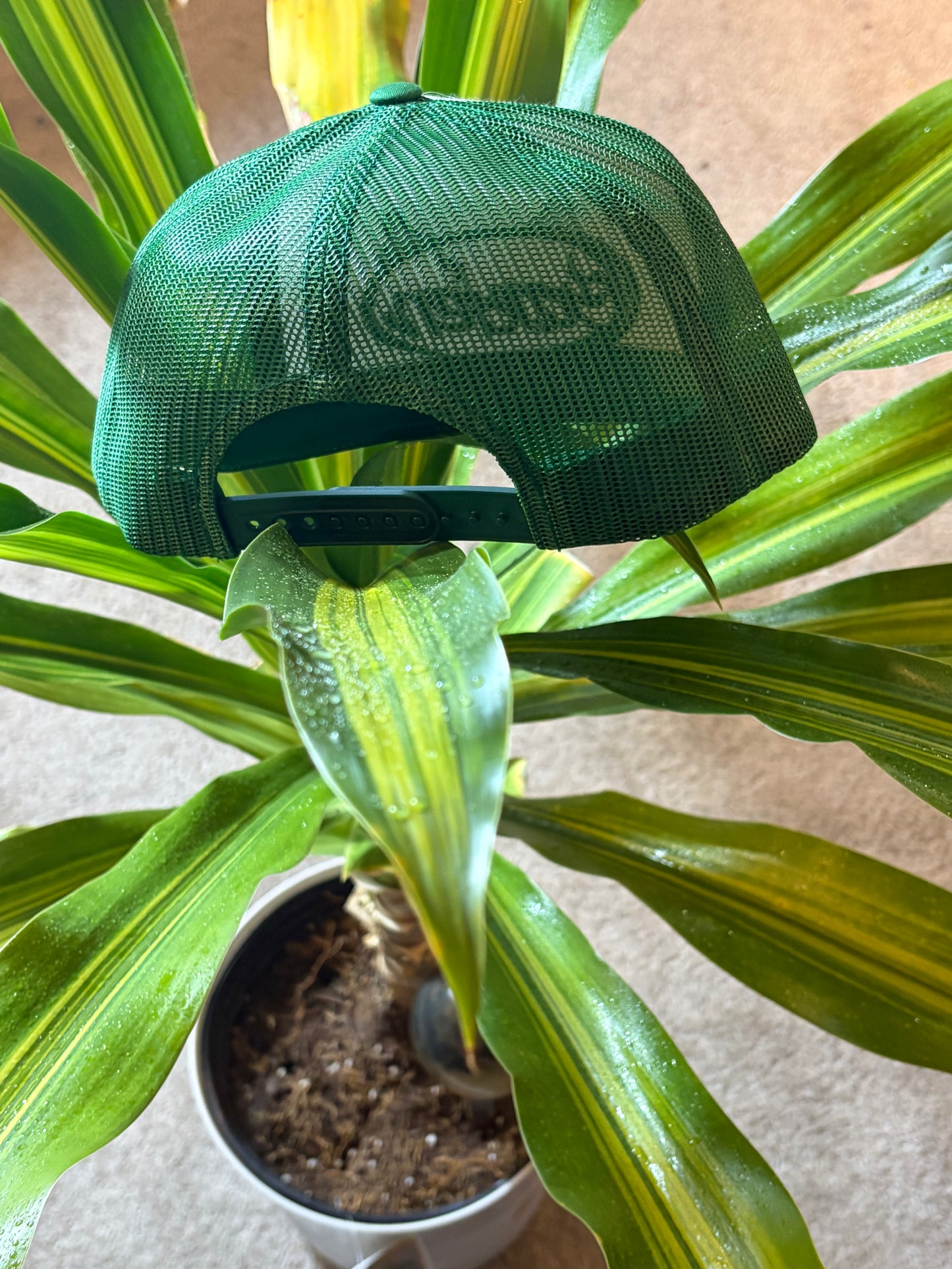 GARDEN 5-PANEL TRUCKER